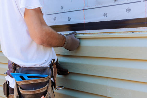 Affordable Vinyl Siding solutions in Andover, MN